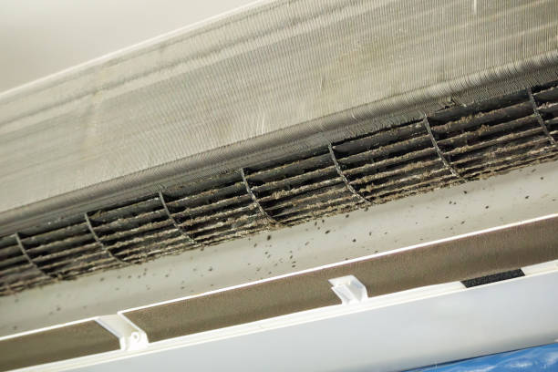 Best Best Air Duct Cleaning Near Me  in Lewiston, UT